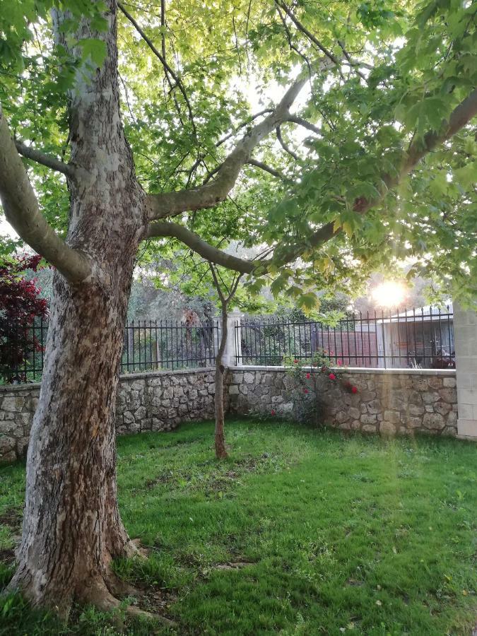 La Casa Di Caterina: Nature,Relax And Private Garden Лефкада Экстерьер фото