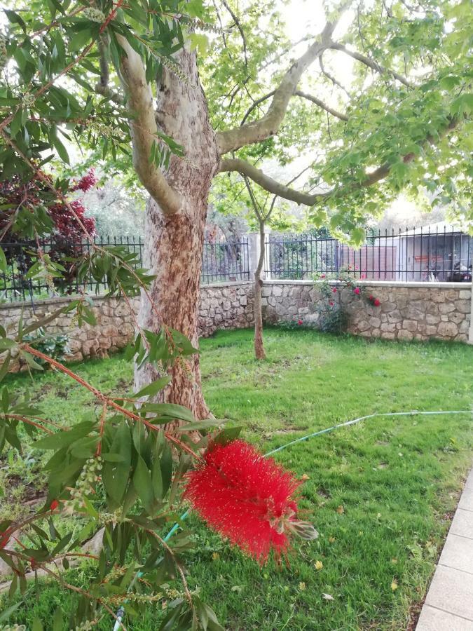 La Casa Di Caterina: Nature,Relax And Private Garden Лефкада Экстерьер фото